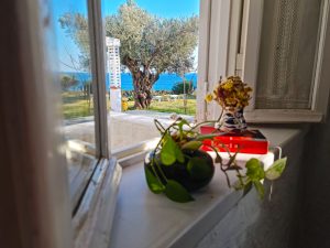 Loukoulos ACCPMODATION SAMOS VOTSALAKIA MARATHOKAMPOS red MAISONETTE